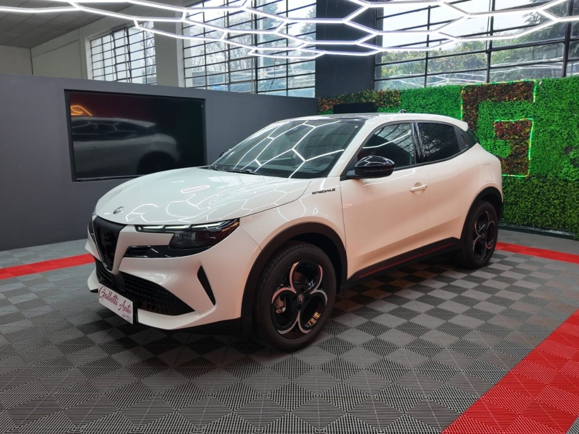Speciale 1.2 Hybrid 136cv edct6 - SENZA VINCOLI DI FINANZIAMENTO   - Gallotti Auto